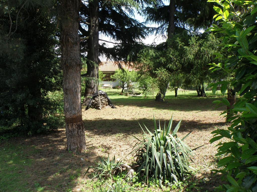 B&B Villa Mirella Casnate con Bernate エクステリア 写真