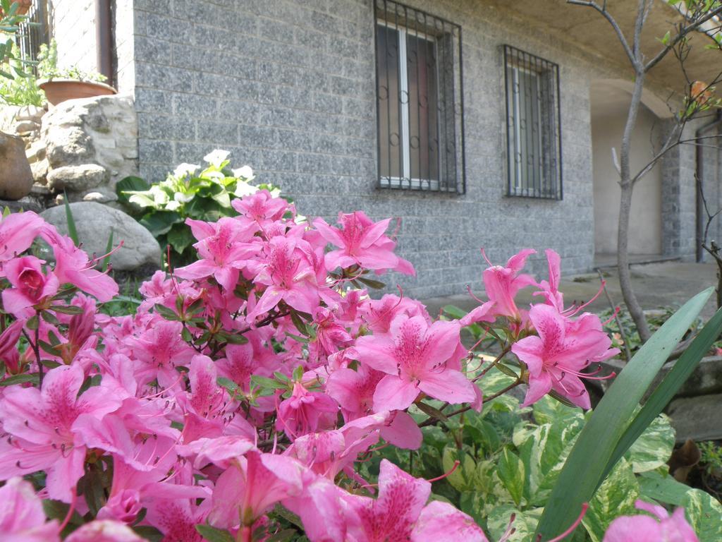 B&B Villa Mirella Casnate con Bernate エクステリア 写真