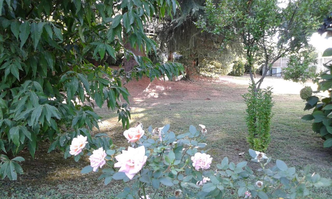 B&B Villa Mirella Casnate con Bernate エクステリア 写真